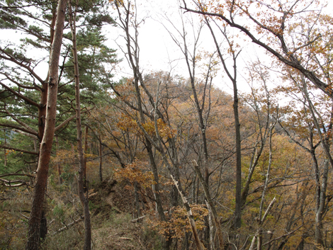 20181126hike (67)